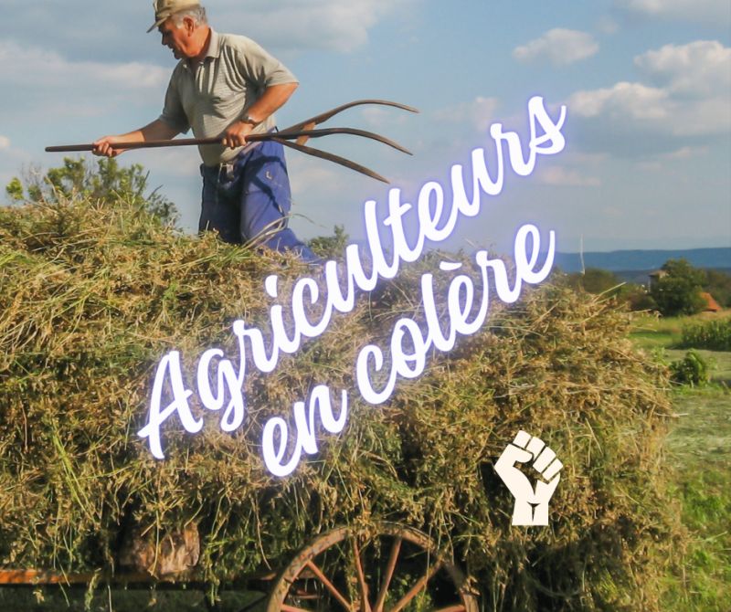 Réflexion sur l’avenir de l’agriculture : Transition vers l’Industrie 4.0