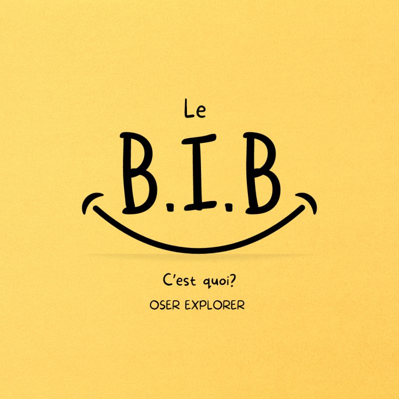 La Nouvelle Ère des Indicateurs: PIB vs BIB