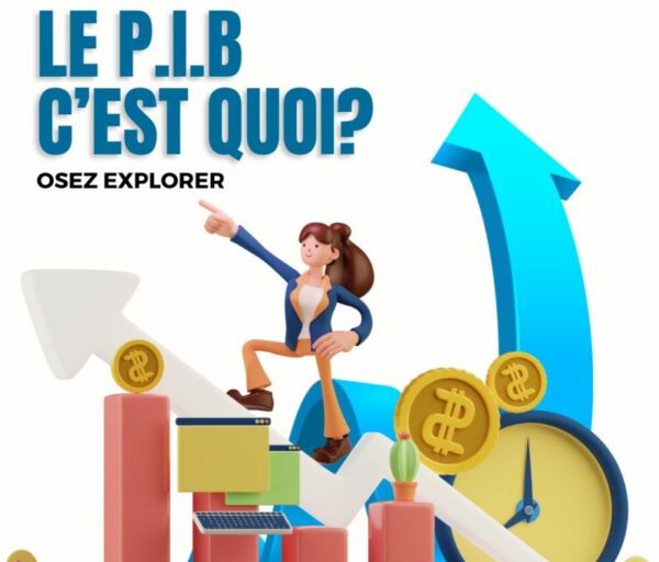 Le PIB c'est quoi?