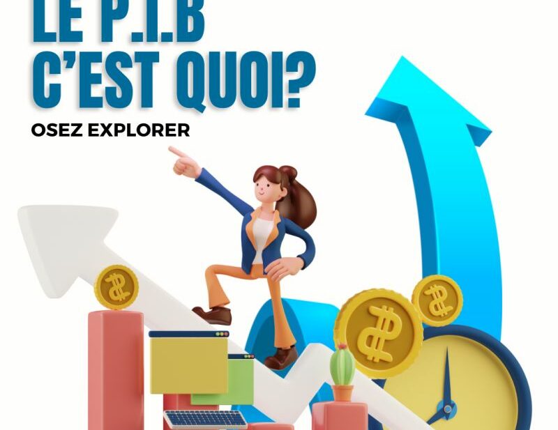 Le PIB c'est quoi?